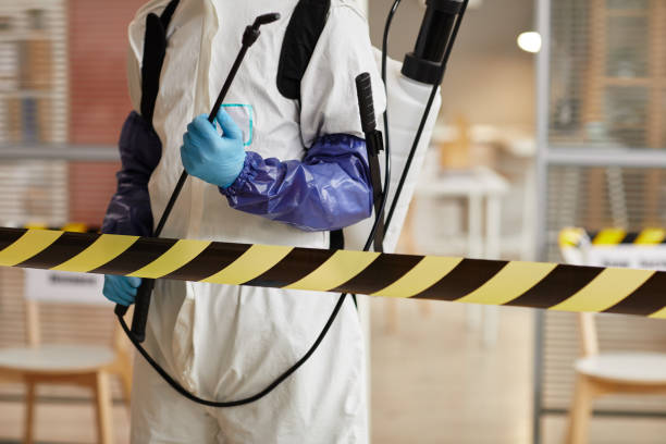 Professional Hoarding Cleanup technician working in Hudson, IL